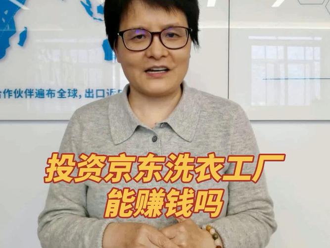 2025年投资京东洗衣工厂赚钱吗投资京东洗衣工厂赚钱吗1